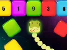 Snake Blocks and Numbers